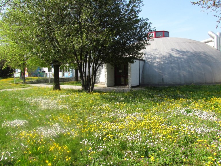 DOM - La Cupola del Pilastro esterno
