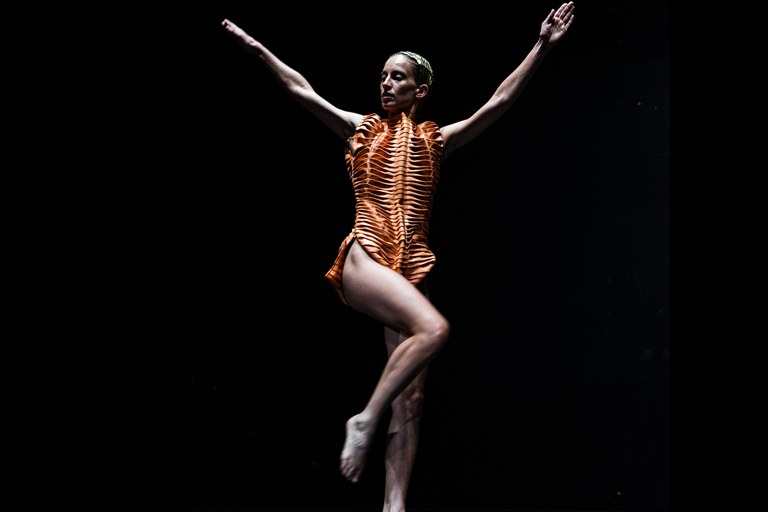 4 Daria Greco Crangon Crangon.jpg 4 Daria Greco Crangon Crangon.jpg