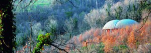 L’Arboreto luogo per interpretare le trasformazioni del presente e immaginare il futuro
