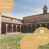 "Rosa. Coltiviamo bellezza" il nuovo progetto de La Corte Ospitale